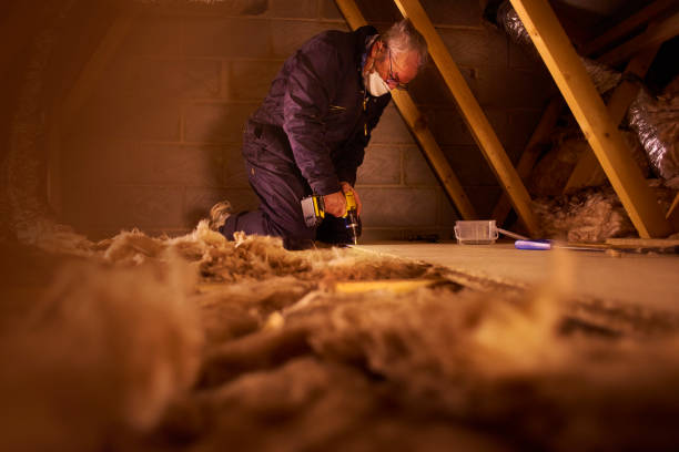 Eco-Friendly Insulation Solutions in Nashville, AR